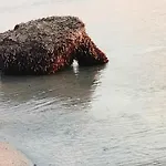 Sul Mare Casa vacanze