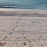 Sul Mare Agrustos