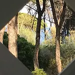 Sul Mare