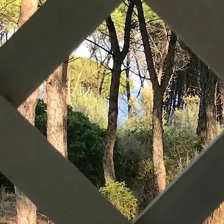 Sul Mare Апартаменты Agrustos