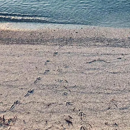 Sul Mare Agrustos