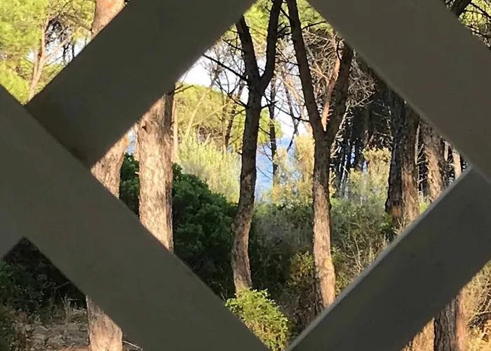 Sul Mare Апартаменты Agrustos