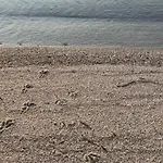 Sul Mare * Agrustos