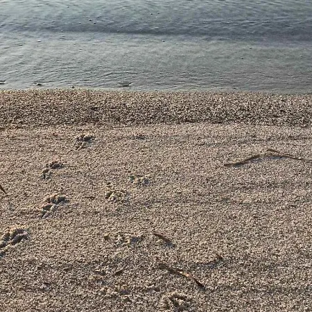 Sul Mare * Agrustos