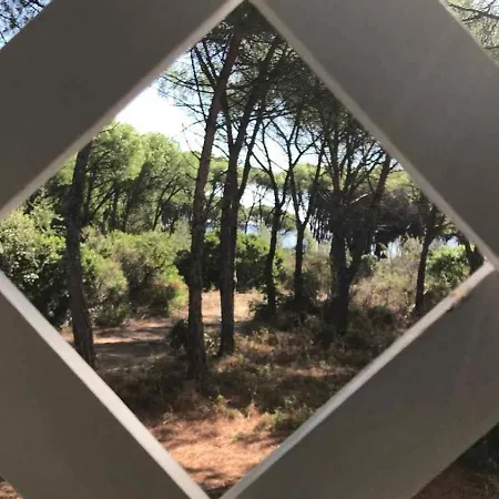 Sul Mare * Agrustos